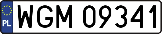 WGM09341