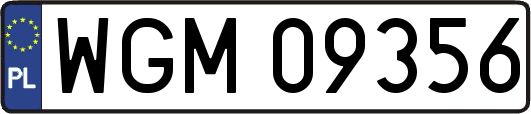 WGM09356