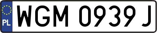 WGM0939J