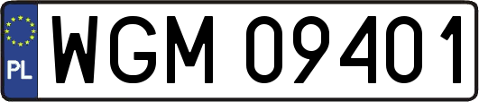 WGM09401