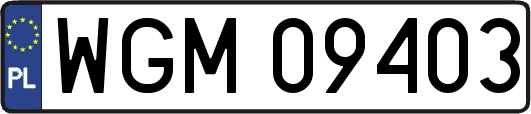 WGM09403