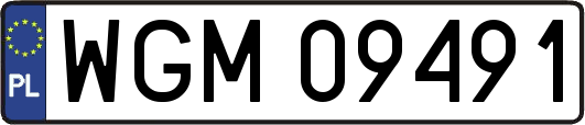 WGM09491