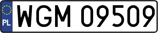 WGM09509