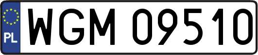 WGM09510