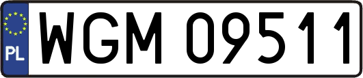 WGM09511