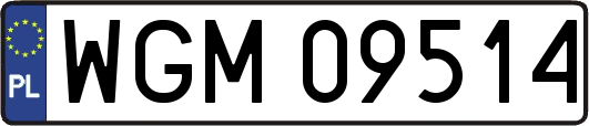 WGM09514