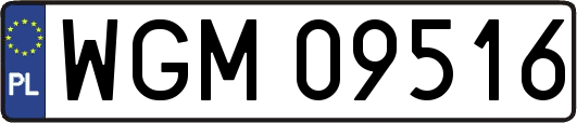 WGM09516