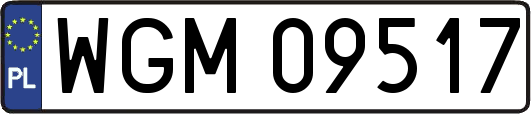 WGM09517