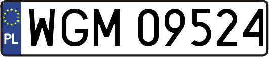 WGM09524