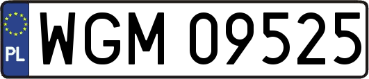 WGM09525