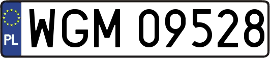 WGM09528
