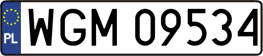 WGM09534