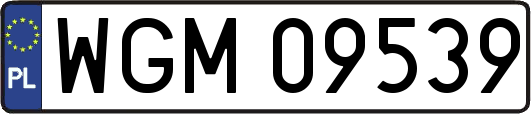 WGM09539