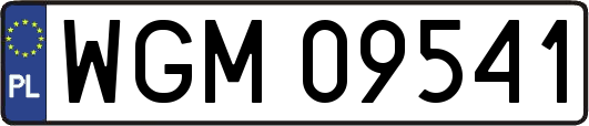 WGM09541