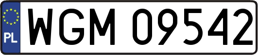 WGM09542
