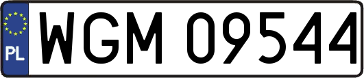 WGM09544