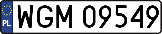 WGM09549