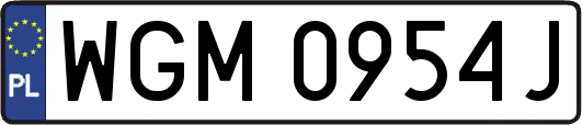 WGM0954J