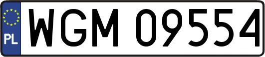 WGM09554