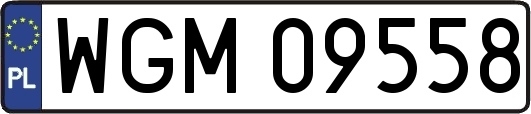 WGM09558