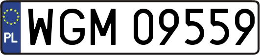 WGM09559