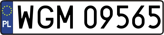 WGM09565
