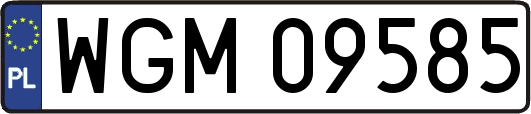 WGM09585