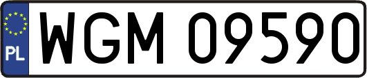 WGM09590
