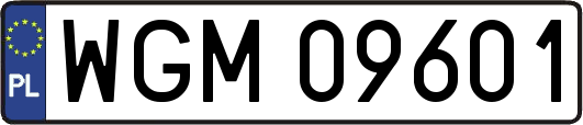 WGM09601