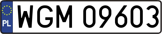 WGM09603