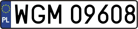 WGM09608