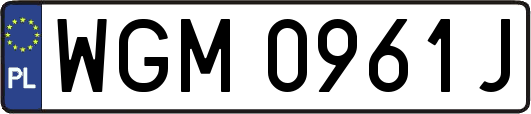 WGM0961J
