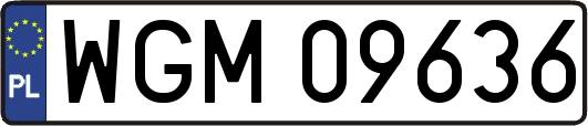 WGM09636