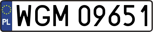 WGM09651