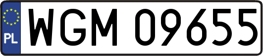 WGM09655