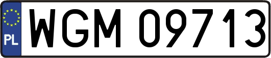 WGM09713