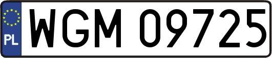 WGM09725