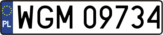 WGM09734
