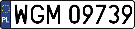 WGM09739