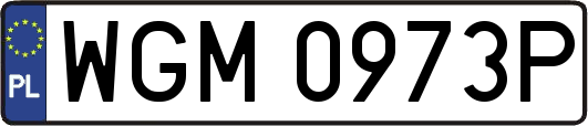 WGM0973P