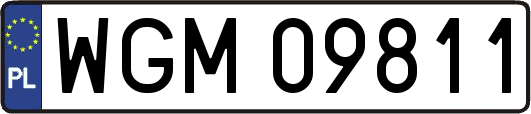 WGM09811