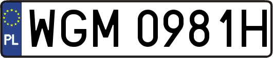 WGM0981H