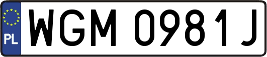 WGM0981J