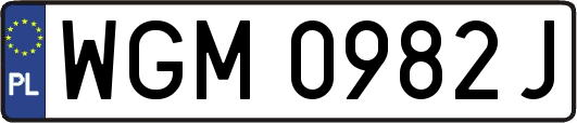 WGM0982J