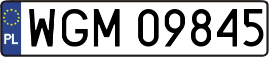 WGM09845