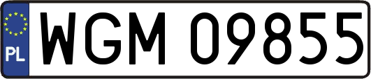 WGM09855