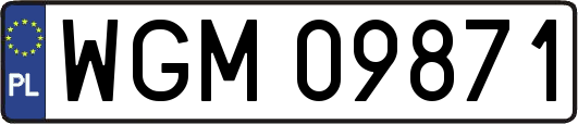 WGM09871