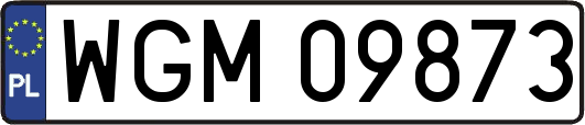 WGM09873
