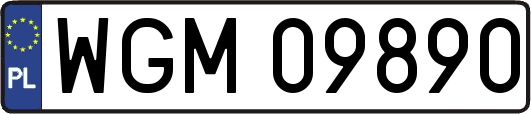 WGM09890