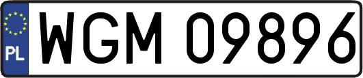 WGM09896
